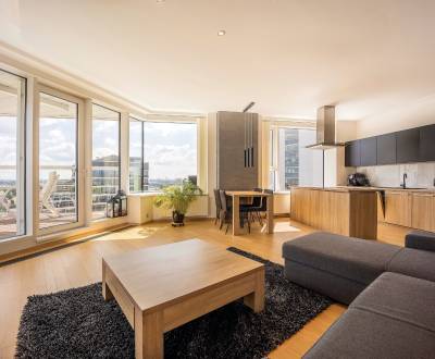 Moderne 3-Zimmer-Wohnung mit Donaublick in PANORAMA CITY