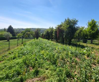 Großzügiges Baugrundstück in Edelstal