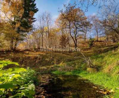 Kaufen Garten, Garten, Nový Svet, Banská Bystrica, Slowakei