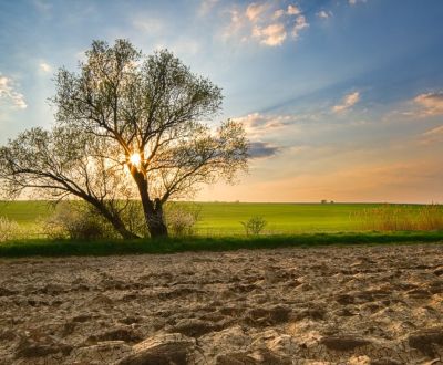 Kaufen landwirtsch. Grundstücke, landwirtsch. Grundstücke, Banská Byst