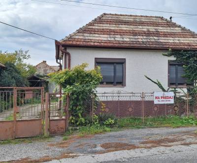 Einfamilienhaus 1+3 mit Zentralheizung + Nebengebäuden