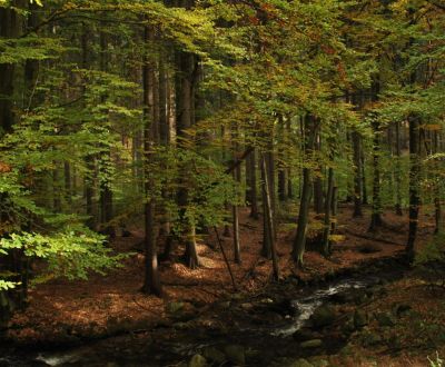 Kaufen landwirtsch. Grundstücke, landwirtsch. Grundstücke, Liptovský M