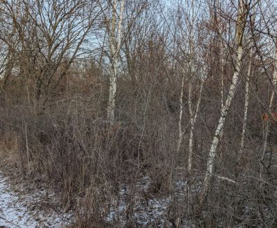 Kaufen Garten, Garten, Košice - Šaca, Slowakei