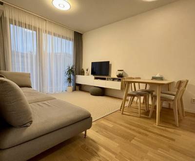 Mieten 2-Zimmer-Wohnung, 2-Zimmer-Wohnung, Staré Grunty, Bratislava - 