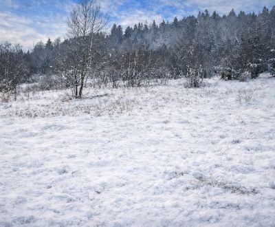 Kaufen Baugrundstück Erholung, Baugrundstück Erholung, Zádedová, Čadca