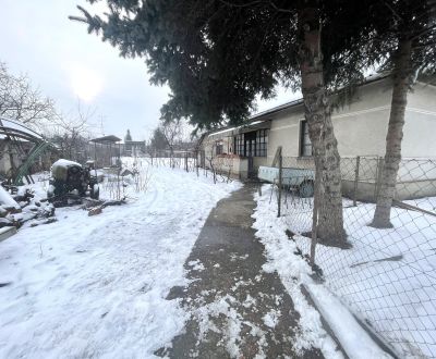 Kaufen Einfamilienhaus, Einfamilienhaus, Gaštanová, Komárno, Slowakei