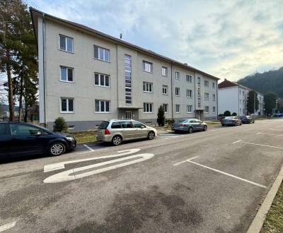 Kaufen 2-Zimmer-Wohnung, 2-Zimmer-Wohnung, Pod Sokolice, Trenčín, Slow