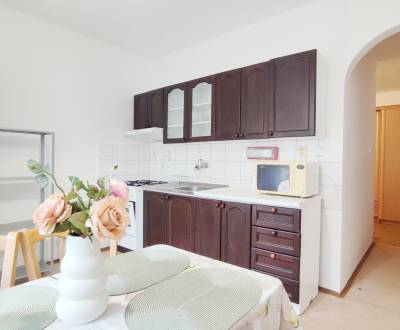 Mieten 2-Zimmer-Wohnung, 2-Zimmer-Wohnung, Štvrť SNP, Trenčín, Slowake