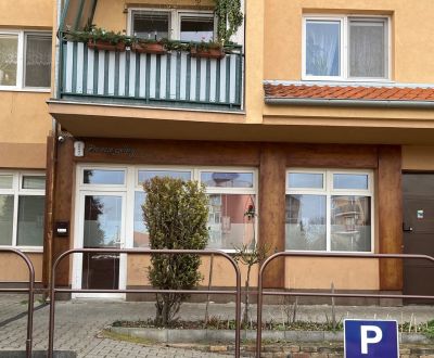 Mieten Geschäftsräumlichkeiten, Geschäftsräumlichkeiten, Kysucká, Sene