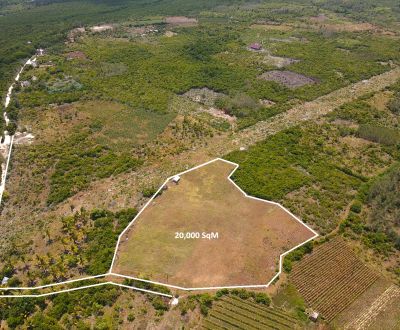 EXCEPTIONAL FARMLAND & INVESTMENT OPPORTUNITY BORDERING JOZANI PARK