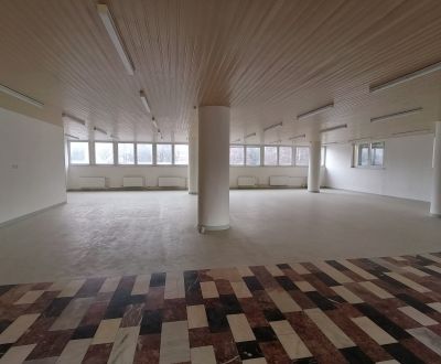 Mieten Geschäftsräumlichkeiten, Geschäftsräumlichkeiten, Centrum, Mart