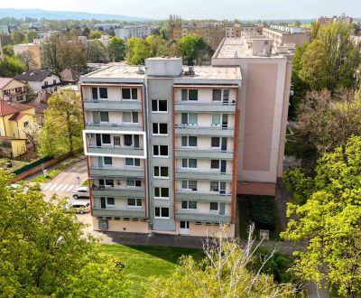 Kaufen 2-Zimmer-Wohnung, 2-Zimmer-Wohnung, Bratislavská, Piešťany, Slo