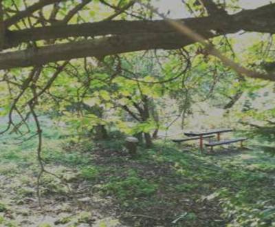 Suche Garten, Garten, Srnková, Banská Bystrica, Slowakei