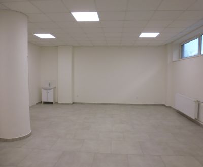 Mieten Geschäftsräumlichkeiten, Geschäftsräumlichkeiten, Masarykova, P