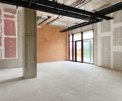 Kaufen Geschäftsräumlichkeiten, Geschäftsräumlichkeiten, Prístavná, Br