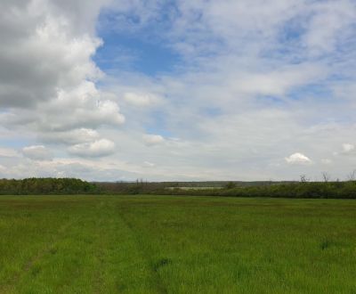 Kaufen landwirtsch. Grundstücke, landwirtsch. Grundstücke, Pezinok, Sl