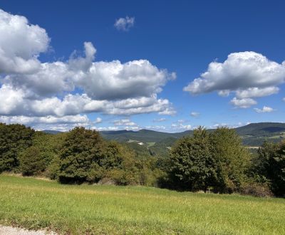 Kaufen landwirtsch. Grundstücke, landwirtsch. Grundstücke, Bardejov, S