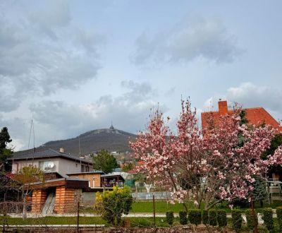 Kaufen Einfamilienhaus, Einfamilienhaus, Metodova, Nitra, Slowakei
