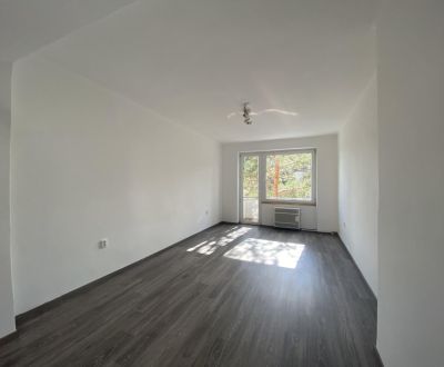 Kaufen 2-Zimmer-Wohnung, 2-Zimmer-Wohnung, Školská, Dunajská Streda, S