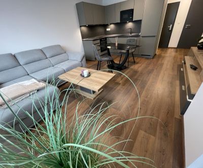 Mieten 2-Zimmer-Wohnung, 2-Zimmer-Wohnung, Novomestská, Trnava, Slowak