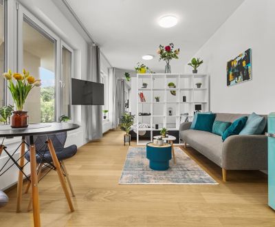 BA IV-Mieten Sie eine modern möblierte 1-Zimmer-Wohnung im Neubau 