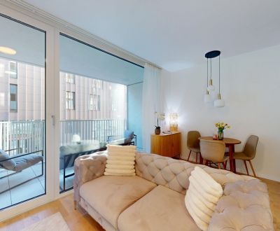 BA I/VYDRICA – Vermietung 1-Zimmer-Wohnung mit geräumigem Balkon