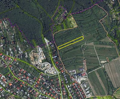 Kaufen Weinberg, Weinberg, Fongová, Bratislava - Rača, Slowakei