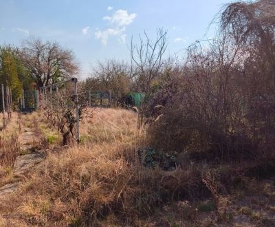 Kaufen Garten, Garten, Žabí majer, Bratislava - Rača, Slowakei
