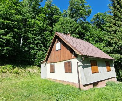 Kaufen Ferienhaus, Ferienhaus, striebornica, Piešťany, Slowakei