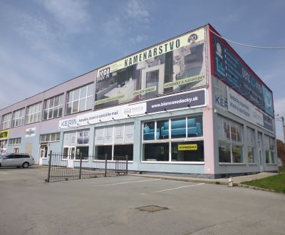 Mieten Geschäftsräumlichkeiten, Geschäftsräumlichkeiten, Masarykova 22