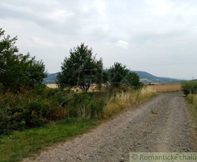 Kaufen landwirtsch. Grundstücke, landwirtsch. Grundstücke, Bardejov, S