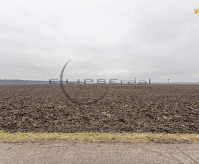 Kaufen landwirtsch. Grundstücke, landwirtsch. Grundstücke, Dolná, Mala