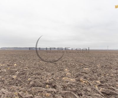 Kaufen landwirtsch. Grundstücke, landwirtsch. Grundstücke, Dolná, Mala