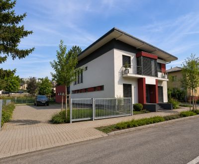 Mieten Geschäftsräumlichkeiten, Geschäftsräumlichkeiten, J. Švermu, Zv
