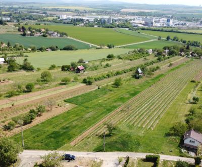 Kaufen Weinberg, Weinberg, Vráble, Nitra, Slowakei