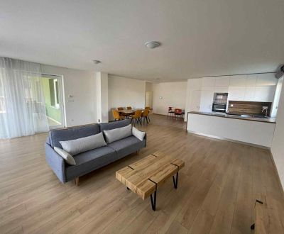 Kaufen Einfamilienhaus, Einfamilienhaus, Kynek, Nitra, Slowakei