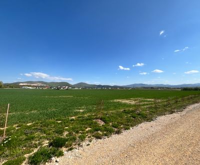 Kaufen landwirtsch. Grundstücke, landwirtsch. Grundstücke, Trenčín, Sl