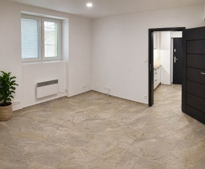 Kaufen 1-Zimmer-Wohnung, 1-Zimmer-Wohnung, Krížna, Bratislava - Staré 
