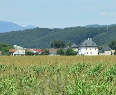 Kaufen landwirtsch. Grundstücke, landwirtsch. Grundstücke, Banská Byst