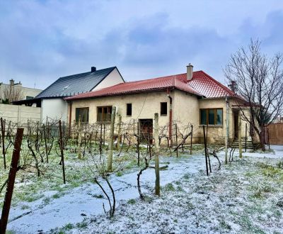 Kaufen Einfamilienhaus, Einfamilienhaus, Hlohovec, Slowakei