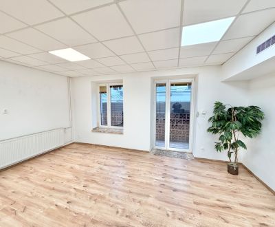 Mieten Geschäftsräumlichkeiten, Geschäftsräumlichkeiten, Bottova, Žili