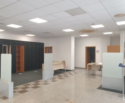 Mieten Geschäftsräumlichkeiten, Geschäftsräumlichkeiten, Lichnerova, S