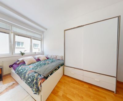 BA/Altstadt – Möbliertes Studio-Apartment in der Grösslingova-Straße 
