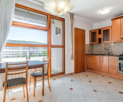 Kaufen 2-Zimmer-Wohnung, 2-Zimmer-Wohnung, Heyrovského, Bratislava - L