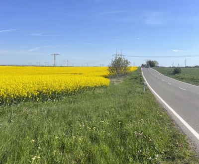 Kaufen landwirtsch. Grundstücke, landwirtsch. Grundstücke, Trnava, Slo