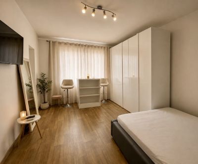 Kaufen 1-Zimmer-Wohnung, 1-Zimmer-Wohnung, Závodská cesta, Žilina, Slo
