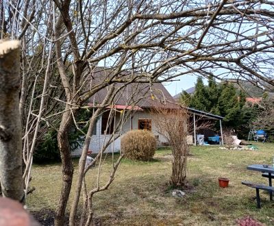 Kaufen Einfamilienhaus, Einfamilienhaus, Martin, Slowakei