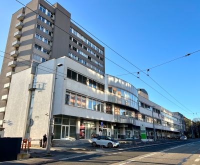 Mieten 2-Zimmer-Wohnung, 2-Zimmer-Wohnung, Stromová, Bratislava - Nové