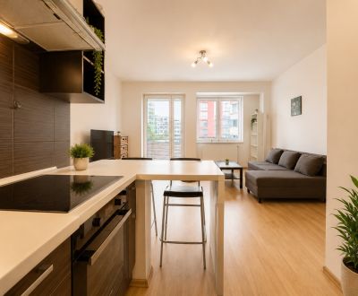Kaufen 2-Zimmer-Wohnung, 2-Zimmer-Wohnung, Nad Plážou, Banská Bystrica