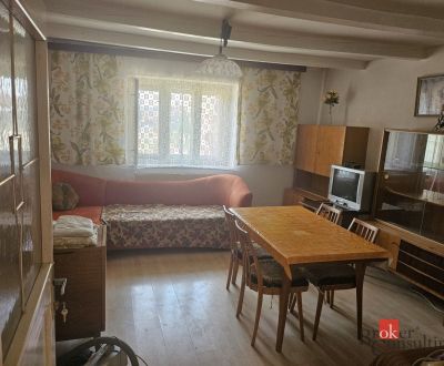 Kaufen Einfamilienhaus, Nitra, Slowakei